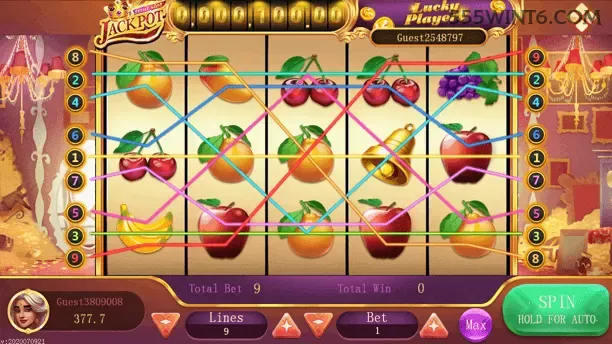 Bônus e prêmios 555win